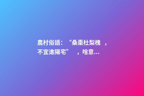 農村俗語：“桑棗杜梨槐，不宜進陽宅”，啥意思？看完明白了